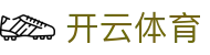 开云·体育（官网）KAIYUN SPORTS