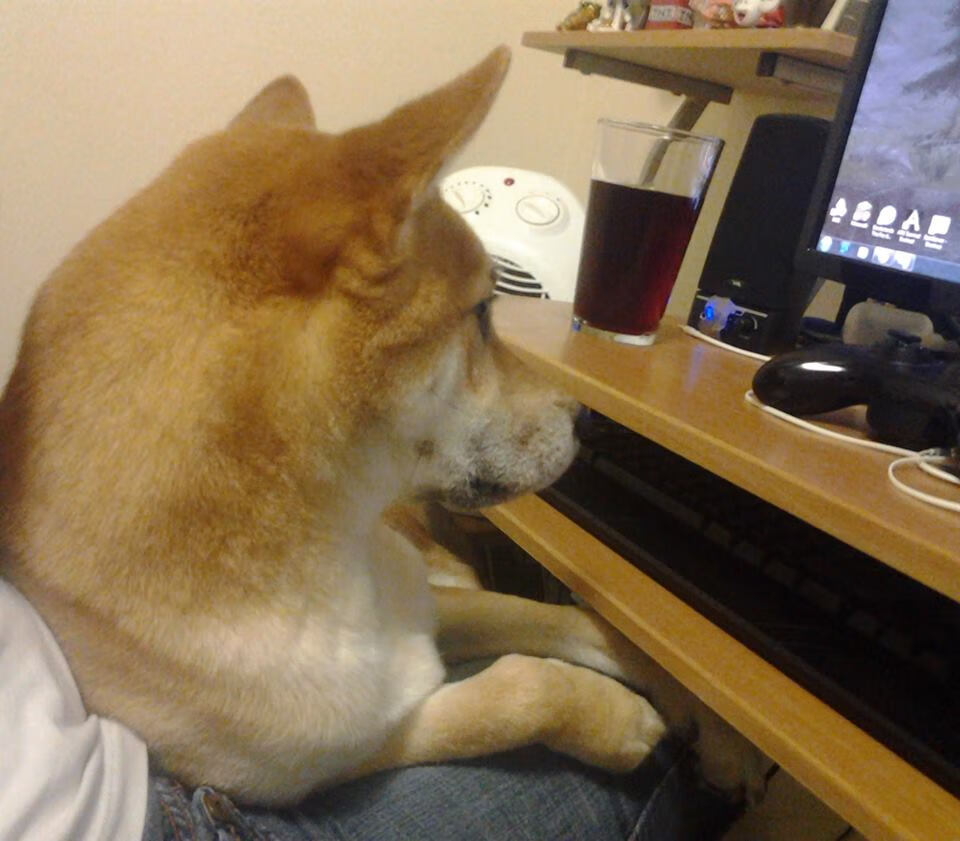 世界青少年击剑锦标赛中国队表现优异,世界青少年击剑锦标赛冠军