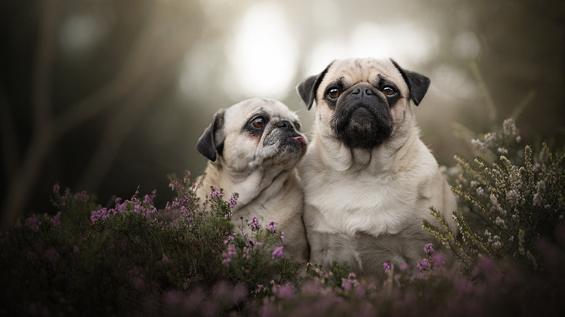 开云体育足球-世界青少年卡丁车挑战赛中国少年表现出色，赢得掌声，青少年卡丁车夏令营