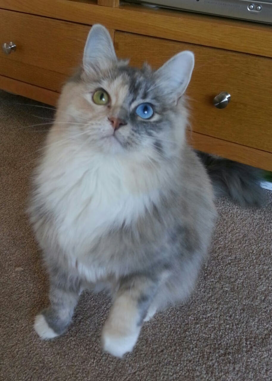 五大联赛控球率与胜率关系数据分析，五大联赛控球率与胜率关系数据分析图